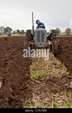 Concours de labour dans le Perthshire, Écosse Banque D'Images