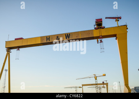 Samson & Goliath, les célèbres grues Harland et Wolff de Belfast Docks. Banque D'Images