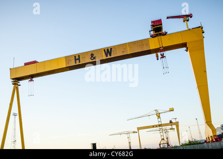 Samson & Goliath, les célèbres grues Harland et Wolff de Belfast Docks. Banque D'Images