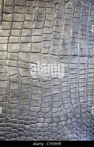 Peau de crocodile Banque D'Images