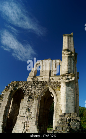 UK,South Yorkshire,Maltby,Roche Abbey Banque D'Images