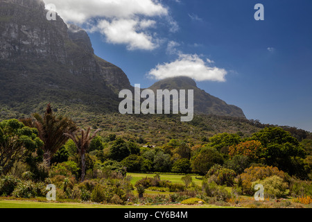 Les Jardins de Kirstenbosch et Table Mountain, Cape Town, Afrique du Sud Banque D'Images