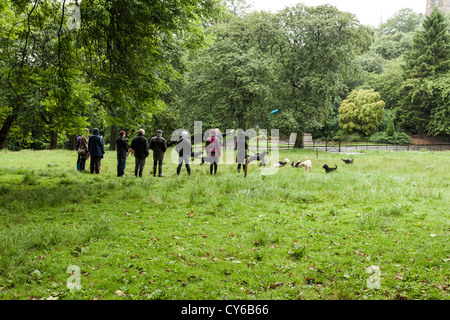 Rassemblement de randonneurs dans un parc pour chiens sur Kelvin Way à Glasgow, à côté du parc Kelvingrove. Banque D'Images