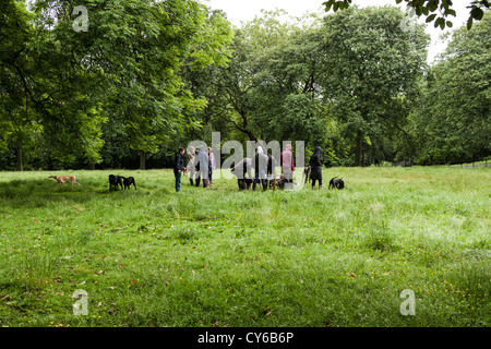 Rassemblement de randonneurs dans un parc pour chiens sur Kelvin Way à Glasgow, à côté du parc Kelvingrove. Banque D'Images