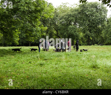 Rassemblement de randonneurs dans un parc pour chiens sur Kelvin Way à Glasgow, à côté du parc Kelvingrove. Banque D'Images