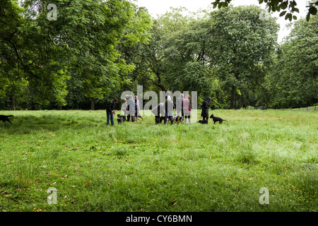 Rassemblement de randonneurs dans un parc pour chiens sur Kelvin Way à Glasgow, à côté du parc Kelvingrove. Banque D'Images