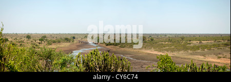 Vue panoramique de la rivière Sabie, avec les éléphants dans le parc Kruger, Afrique du Sud. Banque D'Images