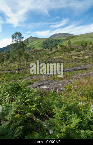 Ben Lomond dans le Parc National des Trossachs. Le Loch Lomond. L'Ecosse Banque D'Images