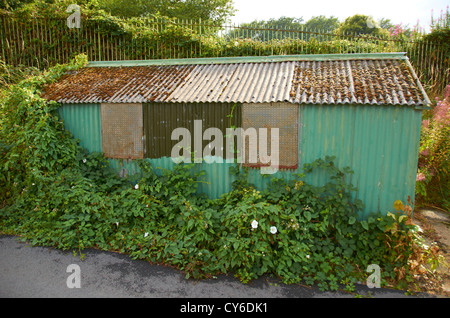 Ancien garage avec un toit en tôle Banque D'Images