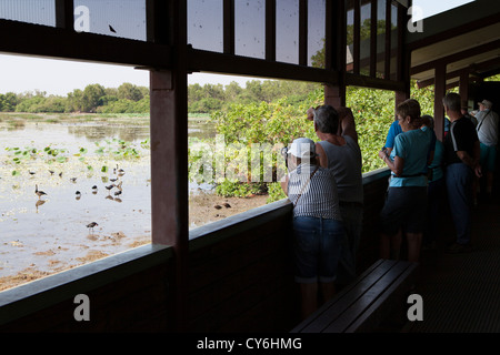 Mamukala wetlands dans le Kakadu National Park, Territoire du Nord, Australie. Banque D'Images