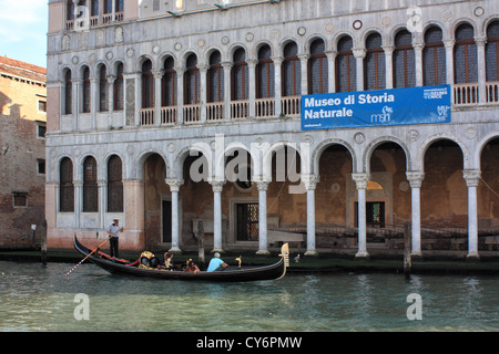 Palazzo Fontego dei Turchi, Musée d'Histoire Naturelle / Museo di Storia Naturale / Museum für Naturgeschichte Banque D'Images