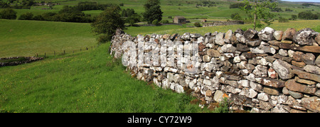 Vue panoramique sur flower meadow, Raydale, Yorkshire Dales National Park, England, United Kingdom Banque D'Images