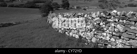 Image en noir et blanc vue panoramique sur flower meadow, Raydale, Yorkshire Dales National Park, England, United Kingdom Banque D'Images