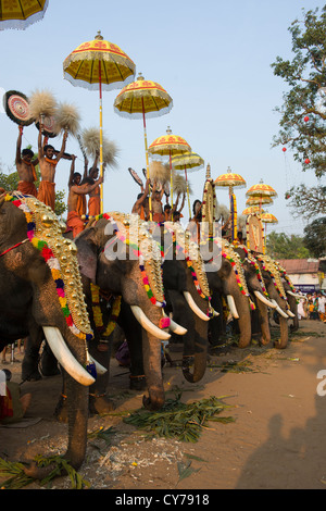 Les éléphants portant des Nettipattam Caparisoned or monté par des prêtres et Venchamaram Muthukuda holding parasols fouets à l'Goureeswara Temple Fête, Cherai, près de Kochi (Cochin), Kerala, Inde Banque D'Images