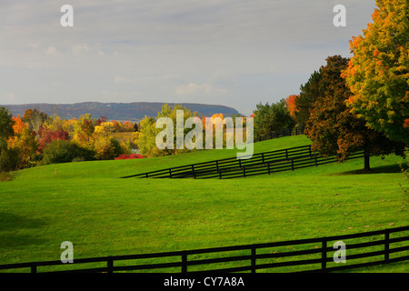 Paddock vert de cheval de ferme et d'escarpement de Niagara entre orange et rouge de l'automne les arbres à Caledon (Ontario) Banque D'Images