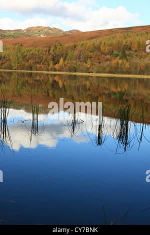 Barrage de l'usine près de Dunkeld dans le Perthshire, Écosse Banque D'Images