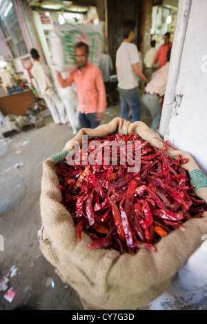 Piments rouges en vente dans une ruelle de Khari Baoli Road, (marché aux épices Bazar de Chandni Chowk), Old Delhi, Inde Banque D'Images