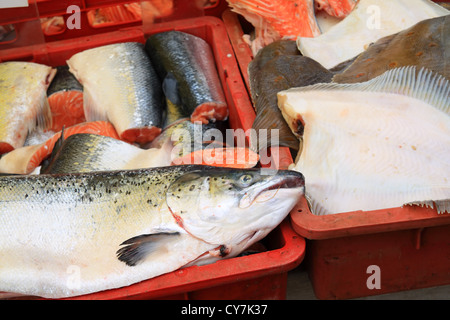 Gros poisson sur le marché rural Banque D'Images