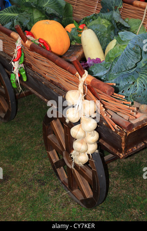 Les légumes dans le panier sur le marché rural Banque D'Images