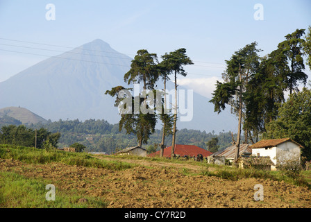 Le Rwanda, Volcanoes National Park (Parc National des Volcans) Banque D'Images