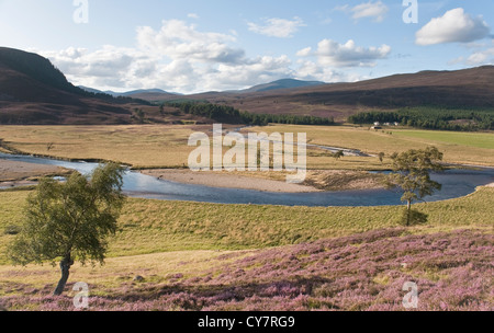 Méandres de la rivière Dee dans la vallée près de Braemar, Grampian Mountains, Ecosse Banque D'Images