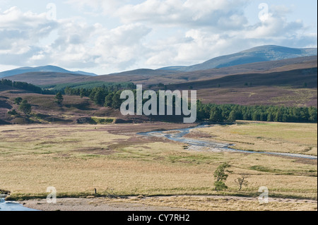 Méandres de la rivière Dee dans la vallée près de Braemar, Grampian Mountains, Ecosse Banque D'Images