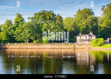 Neiges sur le lac au Parc de Studley Royal près de Ripon, Yorkshire du Nord. Banque D'Images