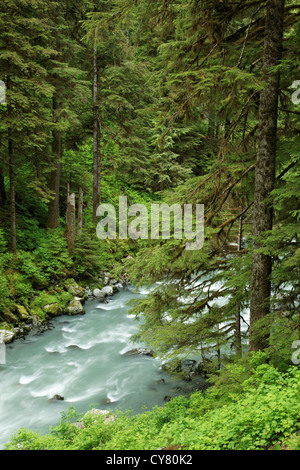 Rivière qui traverse Boulder canyon boisées, Boulder River Wilderness, mont Baker-Snoqualmie National Forest, North Carolina, USA Banque D'Images