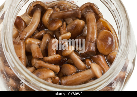 Vue de dessus sur les champignons marinés dans un bocal en verre Banque D'Images