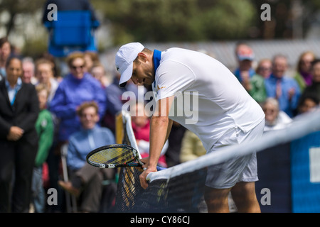 AEGON International 2012. Andy Roddick contestant la ligne téléphonique pendant match contre Fabio Fognini de l'Italie. Banque D'Images