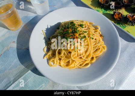 Spaghetti oursins Puglia Italie Banque D'Images