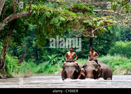 Deux villageois monter les éléphants de Sangklaburi, Kanchanaburi, Banque D'Images