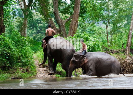 Deux villageois monter les éléphants de Sangklaburi, Kanchanaburi, Banque D'Images