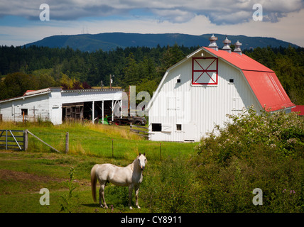 Les bâtiments agricoles de Orcas Island dans l'état de Washington's Juan Banque D'Images