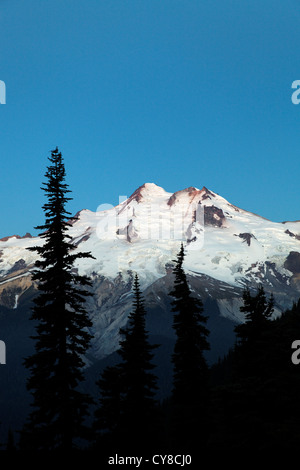 Face est de Glacier Peak vue de Buck Creek Pass, des cascades, comté de King, Washington Banque D'Images