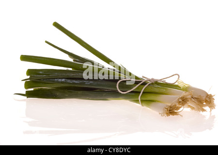 Tas de matières des oignons de printemps photographié sur un fond blanc Banque D'Images