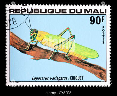 Timbre du Mali représentant une sauterelle (Lopocerus variegatus) Banque D'Images