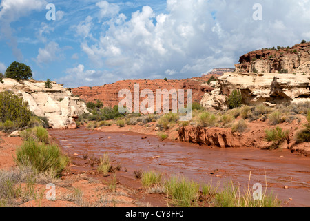 Le lit boueux à travers la vallée de la rivière Paria dans le sud-ouest de l'Utah n Banque D'Images