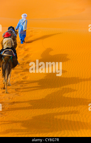 Caravane de chameaux dans le désert du Sahara, l'Erg Chebbi, Maroc Banque D'Images