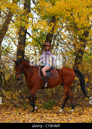 Une circonscription Cowgirl bay horse Banque D'Images