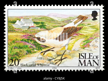 Timbre-poste de l'île de l'homme représentant un oiseau chanteur, traquet oreillard. Banque D'Images