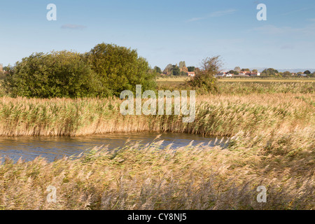 Pagham Harbour ; RSPB réserve ; West Sussex Banque D'Images