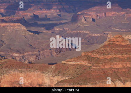 Falaises du Grand Canyon afficher les lignes de couches de différents types de roches dans la lumière du soir Banque D'Images