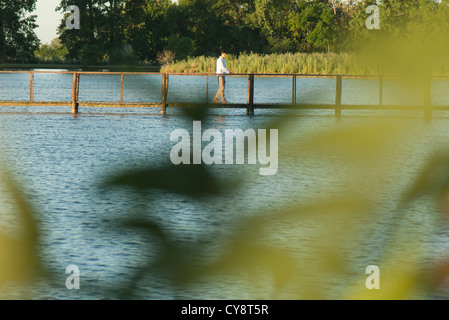 Homme marchant sur la passerelle au-dessus de fleuve dans la distance, vu à travers les feuilles en avant-plan flou Banque D'Images