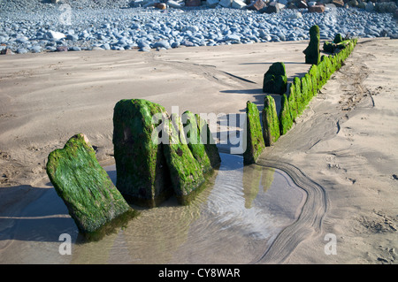 Épi sur Beach North Devon UK Banque D'Images