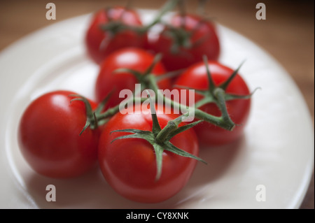 Groupe de tomates sur une assiette blanche. Les tomates sont encore reliées aux tiges de vigne. Banque D'Images