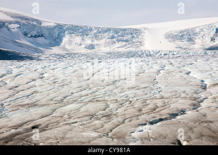 Chenaux sur le glacier Athabasca qui s'estompe très rapidement et a perdu plus de 60  % de sa masse de glace Banque D'Images