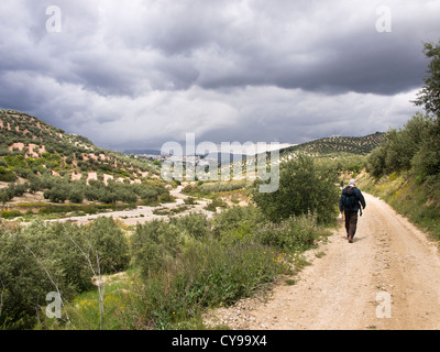 Paysage autour de Priego de Cordoba en Andalousie, bon pour une journée de randonnée le long des chemins de terre dans les oliveraies, à l'approche de la fin Banque D'Images