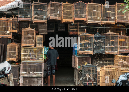 Les cages en bois plein d'oiseaux sur le marché d'animaux et d'oiseaux à Denpasar, dans le Sud de Bali, Indonésie. Banque D'Images