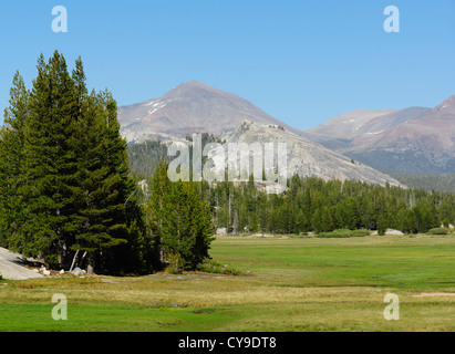 Lac du bassin de la mono pour Yosemite, Tuolumne Meadows - Route 120, vue de Lembert Dome. Banque D'Images